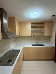 Carissa Park Condominium (D17), Condominium #554701531